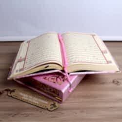 HediyecinHeryerde - Kadife Kaplı Kutulu Orta Boy Kuran-ı Kerim Pembe Renk